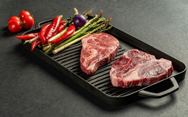 chugunena-gryl-plocha-hosse-25h44sm-1